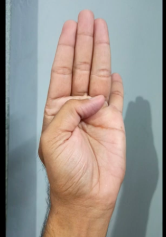 chatur mudra benefits and complete information Ayurved.online